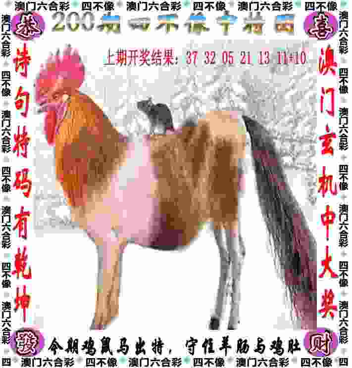 主场不敌泰山！长春亚泰五轮仅积1分，海牛还能喘口气